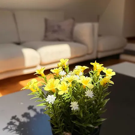 Apartament Historic In The Heart Of